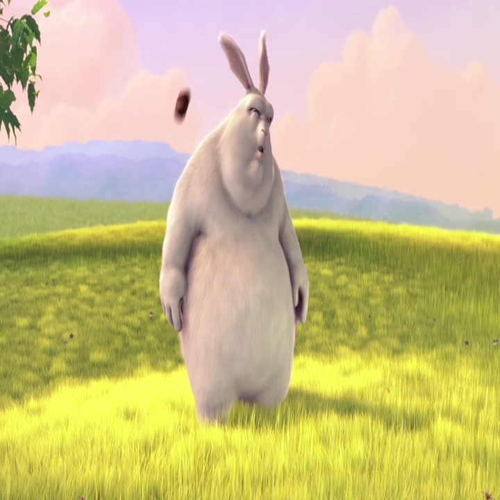 Default preview image for trailer_480p.mov video.